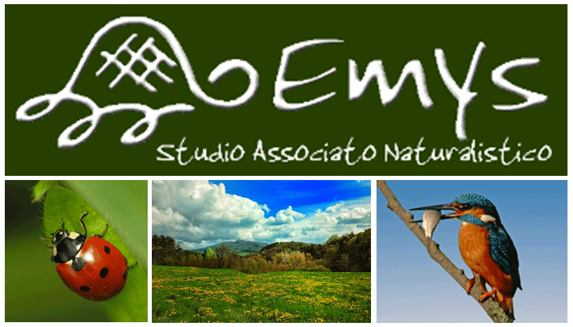 Studio Emys consulenza naturalistico ambientale studio valutazione di incidenza valutazione di impatto ambientale valutazione ambientale strategica relazioni paesaggistiche fitodepurazione licheni