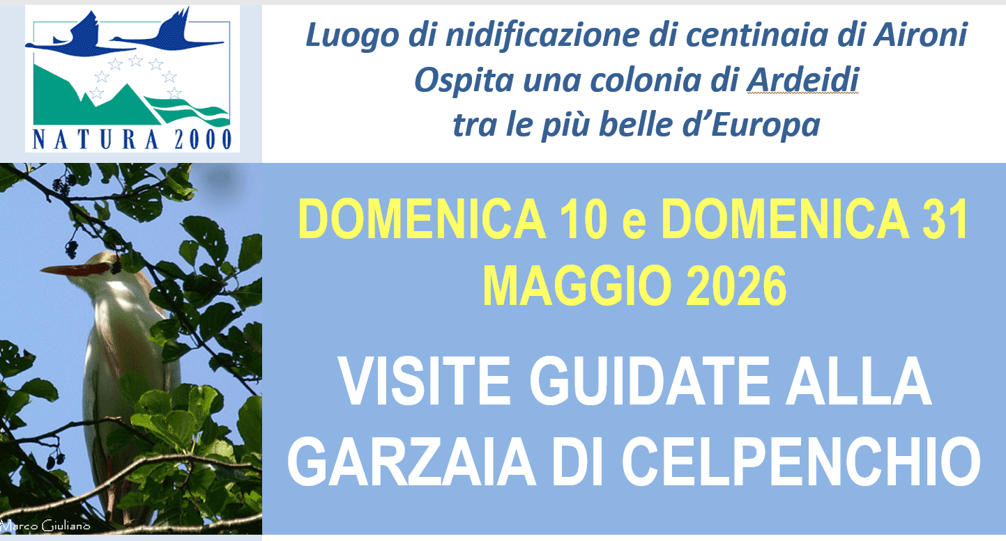 Studio Emys consulenza naturalistico ambientale studio valutazione di incidenza valutazione di impatto ambientale valutazione ambientale strategica relazioni paesaggistiche fitodepurazione licheni Studio Emys consulenza naturalistico ambientale studio valutazione di incidenza valutazione di impatto ambientale valutazione ambientale strategica relazioni paesaggistiche fitodepurazione licheni