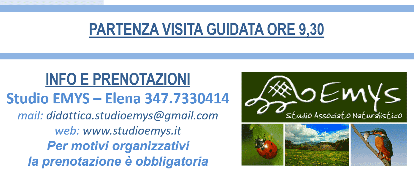 Studio Emys consulenza naturalistico ambientale studio valutazione di incidenza valutazione di impatto ambientale valutazione ambientale strategica relazioni paesaggistiche fitodepurazione licheni Studio Emys consulenza naturalistico ambientale studio valutazione di incidenza valutazione di impatto ambientale valutazione ambientale strategica relazioni paesaggistiche fitodepurazione licheni
